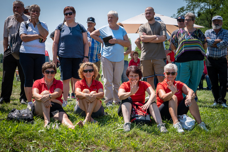 Dobrovnik - 2000 semen - ZETEV 2025-1174685